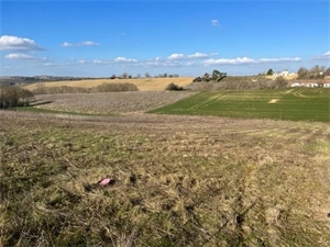 terrain à la vente -   32200  GIMONT, surface 2369 m2 vente terrain - UBI450564098